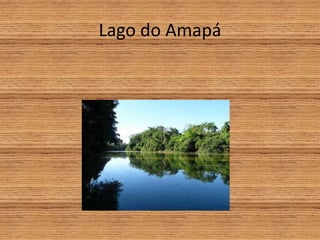 Lago do Amapá
 