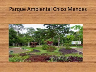 Parque Ambiental Chico Mendes
 
