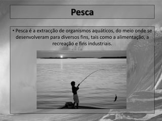 PescaPesca é a extracção de organismos aquáticos, do meio onde se desenvolveram para diversos fins, tais como a alimentação, a recreação e fins industriais.Pesca Os concelhos de Sesimbra e Setúbal continua a ocupar uma boa parte da população nesta actividade, mantendo assim vivos os costumes e a tradição.