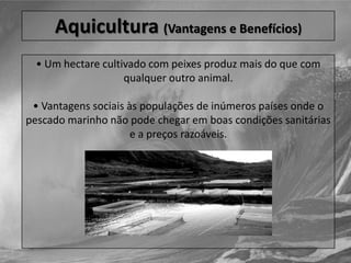 Aquicultura (Problemas)• Potencial para aumentar a difusão de espécies invasivas, visto que frequentemente as espécies criadas não são nativas das áreas de cultivo.• Disseminação de parasitas e pragas introduzidas nasespécies dos viveiros.