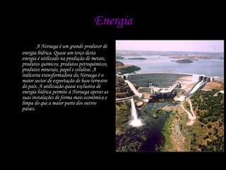 Energia A Noruega é um grande produtor de energia hídrica. Quase um terço desta energia é utilizado na produção de metais, produtos químicos, produtos petroquímicos, produtos minerais, papel e celulose. A indústria transformadora da Noruega é o maior sector de exportação de base terrestre do país. A utilização quase exclusiva de energia hídrica permite à Noruega operar as suas instalações de forma mais econômica e limpa do que a maior parte dos outros países. 