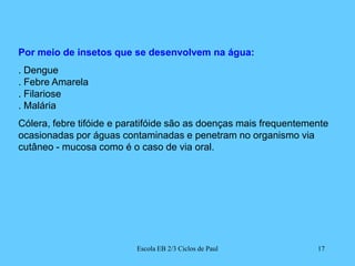 Por meio de insetos que se desenvolvem na água:. Dengue. Febre Amarela. Filariose. MaláriaCólera, febre tifóide e paratifóide são as doenças mais frequentemente ocasionadas por águas contaminadas e penetram no organismo via cutâneo - mucosa como é o caso de via oral.17Escola EB 2/3 Ciclos de Paul