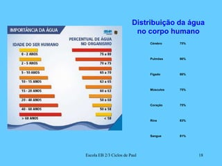 Cérebro75%Pulmões86%Fígado86%Músculos75%Coração75%Rins83%Sangue81%Distribuição da água no corpo humano18Escola EB 2/3 Ciclos de Paul