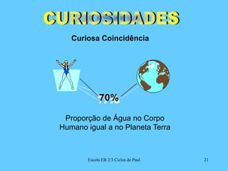 Curiosa CoincidênciaCURIOSIDADESProporção de Água no Corpo Humano igual a no Planeta Terra21Escola EB 2/3 Ciclos de Paul