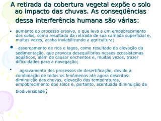 A retirada da cobertura vegetal expõe o solo ao impacto das chuvas. As conseqüências dessa interferência humana são várias:    aumento do processo erosivo, o que leva a um empobrecimento dos solos, como resultado da retirada de sua camada superficial e, muitas vezes, acaba inviabilizando a agricultura;   assoreamento de rios e lagos, como resultado da elevação da sedimentação, que provoca desequilíbrios nesses ecossistemas aquáticos, além de causar enchentes e, muitas vezes, trazer dificuldades para a navegação;     agravamento dos processos de desertificação, devido à combinação de todos os fenômenos até agora descritos: diminuição das chuvas, elevação das temperaturas, empobrecimento dos solos e, portanto, acentuada diminuição da biodiversidade ;  
