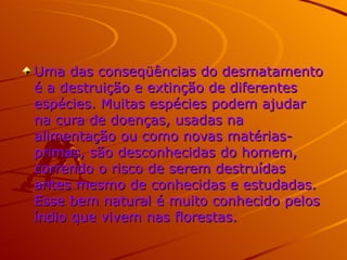 Uma das conseqüências do desmatamento é a destruição e extinção de diferentes espécies. Muitas espécies podem ajudar na cura de doenças, usadas na alimentação ou como novas matérias-primas, são desconhecidas do homem, correndo o risco de serem destruídas antes mesmo de conhecidas e estudadas. Esse bem natural é muito conhecido pelos índio que vivem nas florestas.    