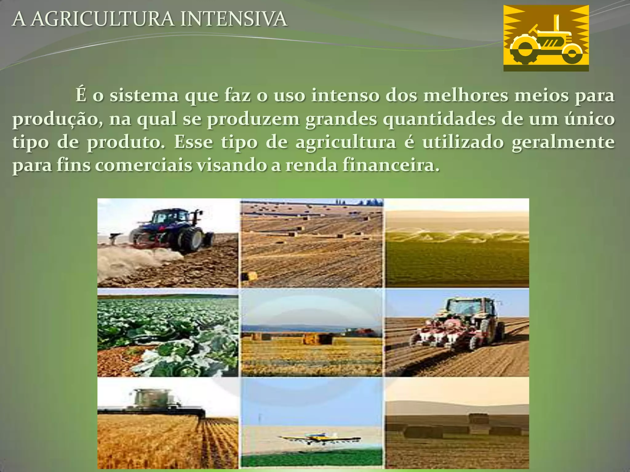 Resumo Agricultura e Pecuária Intensiva e Extensiva | PPTX