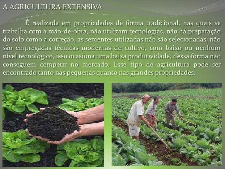 Resumo Agricultura e Pecuária Intensiva e Extensiva