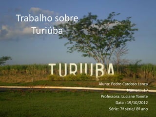 Trabalho sobre
   Turiúba



                 Aluno: Pedro Cardoso Lança
                                  Número: 17
                  Professora: Luciane Tonete
                           Data : 19/10/2012
                       Série: 7ª série/ 8º ano
 