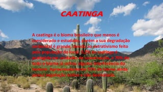 CAATINGA
A caatinga é o bioma brasileiro que menos é
considerado e estudado, porém a sua degradação
ambiental é grande, devido ao extrativismo feito
pela população do local. 0,2% da caatinga é
protegida em unidades de conservação, e 70% de
todo o bioma já sofreu alguma interferência do
homem. Aproximadamente 53% do bioma ainda
possui vegetação nativa e não desmatada.
 