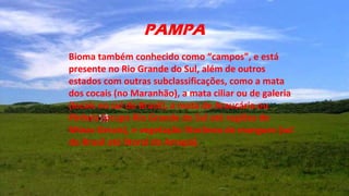 PAMPA
Bioma também conhecido como “campos”, e está
presente no Rio Grande do Sul, além de outros
estados com outras subclassificações, como a mata
dos cocais (no Maranhão), a mata ciliar ou de galeria
(locais no sul do Brasil), a mata de Araucária ou
Pinhais (ocupa Rio Grande do Sul até regiões de
Minas Gerais), e vegetação litorânea de mangues (sul
do Brasil até litoral do Amapá).
 