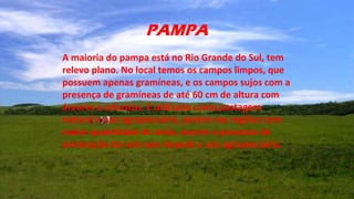 PAMPA
A maioria do pampa está no Rio Grande do Sul, tem
relevo plano. No local temos os campos limpos, que
possuem apenas gramíneas, e os campos sujos com a
presença de gramíneas de até 60 cm de altura com
árvores e arbustos. É utilizado como pastagem
natural e uso agropecuário, porém nas regiões com
maior quantidade de areia, ocorre o processo de
arenização do solo que impede o uso agropecuário.
 