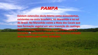 PAMPA
Existem extensões deste bioma como ecossistemas,
existentes na costa brasileira, no Maranhão e no sul
do Brasil. No Maranhão existe a Mata dos Cocais que
tem formação vegetal em uma transição de caatinga,
floresta amazônica e cerrado, com árvores como a
carnaúba. A população daquele local pratica extração
desta madeira para várias utilidades.
 