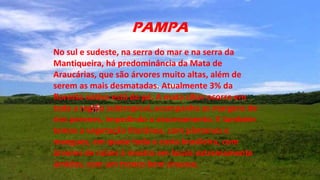 PAMPA
No sul e sudeste, na serra do mar e na serra da
Mantiqueira, há predominância da Mata de
Araucárias, que são árvores muito altas, além de
serem as mais desmatadas. Atualmente 3% da
floresta nativa está de pé. A mata ciliar ocorre em
toda a região subtropical, acompanha as margens de
rios perenes, impedindo o assoreamento. E também
temos a vegetação litorânea, com pântanos e
mangues, em quase toda a costa brasileira, com
árvores de raízes à mostra em locais extremamente
úmidos, com um tronco bem sinuoso.
 