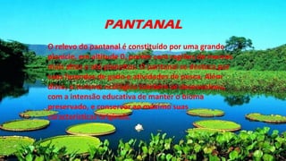 PANTANAL
O relevo do pantanal é constituído por uma grande
planície, em altitude 0, porém com regiões de morros
mais altos e até planaltos. O pantanal se destaca por
suas fazendas de gado e atividades de pesca. Além
disso, o turismo ecológico também se desenvolveu,
com a intensão educativa de manter o bioma
preservado, e conservar ao máximo suas
características originais.
 