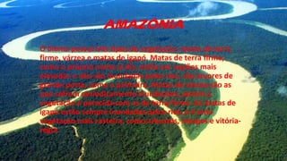 AMAZÔNIA
O bioma possui três tipos de vegetação: matas de terra
firme, várzea e matas de igapó. Matas de terra firme,
como o próprio nome já diz, estão em regiões mais
elevadas e não são inundadas pelos rios, são árvores de
grande porte, como a palmeira. Matas de várzea são as
que sofrem periodicamente inundações, porém a
vegetação é parecida com as de terra firme. As matas de
igapó estão sempre inundadas pelos rios, e é uma
vegetação mais rasteira, como arbustos, musgos e vitória-
régia.
 