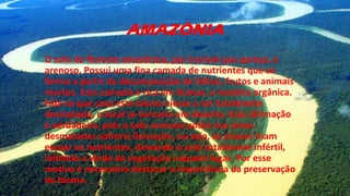AMAZÔNIA
O solo da floresta amazônica, por incrível que pareça, é
arenoso. Possui uma fina camada de nutrientes que se
forma a partir da decomposição de folhas, frutos e animais
mortos. Esta camada é rica em húmus, e matéria orgânica.
Fala-se que caso este bioma viesse a ser totalmente
desmatado, o local se tornaria um deserto. Esta afirmação
é verdadeira, pois o solo arenoso pobre nas áreas
desmatadas sofreria lixiviação, ou seja, as chuvas iriam
escoar os nutrientes, deixando o solo totalmente infértil,
inibindo a vinda da vegetação naquele lugar. Por esse
motivo é necessário destacar a importância da preservação
do bioma.
 