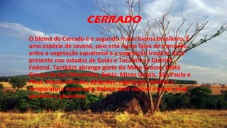CERRADO
O bioma do Cerrado é o segundo maior bioma brasileiro. É
uma espécie de savana, pois está numa faixa de transição
entre a vegetação equatorial e a vegetação tropical. Está
presente nos estados de Goiás e Tocantins e Distrito
Federal. Também abrange parte do Mato Grosso, Mato
Grosso do Sul, Maranhão, Bahia, Minas Gerais, São Paulo e
Piauí. Possui estações definidas, vegetação rasteira e
temperatura moderada. Relevo mais estável e plano, com
planícies e planaltos.
 