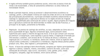 

A região enfrenta também graves problemas sociais, entre eles os baixos níveis de
renda e de escolaridade, a falta de saneamento ambiental e os altos índices de
mortalidade infantil.



Desde o período imperial, tenta-se promover o desenvolvimento econômico na
caatinga, porém, a dificuldade é imensa em razão da aridez da terra e da instabilidade
das precipitações pluviométricas. A principal atividade econômica desenvolvida na
caatinga é a agropecuária. A agricultura destaca-se na região através da irrigação
artificial, possibilitada pela construção de canais e açudes. Alguns projetos de irrigação
para a agricultura comercial são desenvolvidos no médio vale do São Francisco, o
principal rio da região, juntamente ao Parnaíba.



Vegetação – As plantas da caatinga são xerófilas, ou seja, adaptadas ao clima seco e à
pouca quantidade de água. Algumas armazenam água, outras possuem raízes
superficiais para captar o máximo de água da chuva. E há as que contam com recursos
pra diminuir a transpiração, como espinhos e poucas folhas. A vegetação é formada por
três estratos: o arbóreo, com árvores de 8 a 12 metros de altura; o arbustivo, com
vegetação de 2 a 5 metros; e o herbáceo, abaixo de 2 metros. Entre as espécies mais
comuns estão a amburana, o umbuzeiro e o mandacaru. Algumas dessas plantas podem
produzir cera, fibra, óleo vegetal e, principalmente, frutas.



Fauna – A fauna da caatinga é bem diversificada, composta por répteis (principalmente
lagartos e cobras), roedores, insetos, aracnídeos, cachorro-do-mato, arara-azul
(ameaçada de extinção), sapo-cururu, asa-branca, cutia, gambá, preá, veadocatingueiro, tatupeba, sagui-do-nordeste, entre outros animais.

 