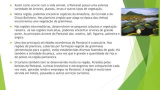 

Assim como ocorre com a vida animal, o Pantanal possui uma extensa
variedade de árvores, plantas, ervas e outros tipos de vegetação.



Nesta região, podemos encontrar espécies da Amazônia, do Cerrado e do
Chaco Boliviano. Nas planícies (região que alaga na época das cheias)
encontramos uma vegetação de gramíneas.



Nas regiões intermediárias, desenvolvem-se pequenos arbustos e vegetação
rasteira. Já nas regiões mais altas, podemos encontrar árvores de grande
porte. As principais árvores do Pantanal são: aroeira, ipê, figueira, palmeira e
angico.



Uma das principais atividades econômicas do Pantanal é a pecuária. Nas
regiões de planícies, cobertas por formação vegetal de gramíneas
(alimentação para o gado), estão estabelecidas diversas fazendas de gado. Há
também a atividade da pesca, uma vez que é grande a quantidade de rios e
de peixes na região pantaneira.



O turismo também tem se desenvolvido muito na região. Atraídos pelas
belezas do Pantanal, turistas brasileiros e estrangeiros tem comparecido cada
vez mais, gerando renda e empregos no Pantanal. A região é muito bem
servida em hotéis, pousadas e outros serviços turísticos.

 
