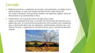 Cerrado


Podemos encontrar a vegetação de cerrado, principalmente, na região centrooeste do Brasil, ou seja, nos estados do Mato Grosso, Mato Grosso do
Sul, Goiás e Tocantins. Está presente também nas seguintes regiões: oeste de
Minas Gerais e sul do Maranhão e Piauí.



Infelizmente, em função do avanço da agricultura nesta
região, principalmente de soja, o cerrado vem diminuindo de tamanho com o
passar dos anos. O crescimento da pecuária de corte também tem colaborado
para a diminuição deste tipo de vegetação. Ambientalistas afirmam que, nos
últimos 50 anos, a vegetação do cerrado diminuiu para a metade do tamanho
original.

 