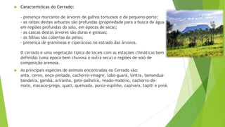 

Características do Cerrado:
- presença marcante de árvores de galhos tortuosos e de pequeno porte;
- as raízes destes arbustos são profundas (propriedade para a busca de água
em regiões profundas do solo, em épocas de seca);
- as cascas destas árvores são duras e grossas;
- as folhas são cobertas de pelos;
- presença de gramíneas e ciperáceas no estrado das árvores.
O cerrado é uma vegetação típica de locais com as estações climáticas bem
definidas (uma época bem chuvosa e outra seca) e regiões de solo de
composição arenosa.



As principais espécies de animais encontradas no Cerrado são:
anta, cervo, onça-pintada, cachorro-vinagre, lobo-guará, lontra, tamanduábandeira, gambá, ariranha, gato-palheiro, veado-mateiro, cachorro-domato, macaco-prego, quati, queixada, porco-espinho, capivara, tapiti e preá.

 