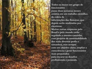 Todos os meses um grupo de 
funcionários 
passa duas semanas nesses 
centros em um trabalho científico 
de coleta de 
informações das florestas, que 
depois serão analisadas por 
cientistas. 
Muitas outras empresas pelo 
Brasil e pelo mundo estão 
seguindo o mesmo caminho, 
com projetos de sustentabilidade 
dos mais diversos perfis e 
tamanhos, mas sempre 
com um objetivo claro: ampliar a 
consciência e gerar funcionários 
mais preparados 
para encarar os desafios 
profissionais e pessoais. 
 