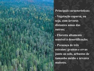 Principais características: 
- Vegetação esparsa, ou 
seja, com árvores 
distantes umas das 
outras; 
- Floresta altamente 
sensível à desertificação; 
- Presença de três 
estratos: gramas e ervas 
junto ao solo, arbustos de 
tamanho médio e árvores 
maiores. 
. 
 