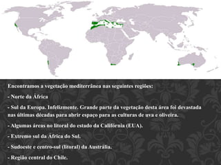 Localização 
Encontramos a vegetação mediterrânea nas seguintes regiões: 
- Norte da África 
- Sul da Europa. Infelizmente. Grande parte da vegetação desta área foi devastada 
nas últimas décadas para abrir espaço para as culturas de uva e oliveira. 
- Algumas áreas no litoral do estado da Califórnia (EUA). 
- Extremo sul da África do Sul. 
- Sudoeste e centro-sul (litoral) da Austrália. 
- Região central do Chile. 
 