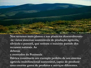Nos terrenos mais planos e nas planícies desenvolveram- 
-se vários sistemas sustentáveis de produção agrícola, 
silvícola e pastoril, que retiram o máximo partido dos 
recursos naturais. As 
dehesas 
e montados da Península 
Ibérica constituem um exemplo perfeito de um sistema 
agrícola multifuncional sustentável, capaz de produzir 
uma enorme gama de produtos e serviços diferentes. 
 