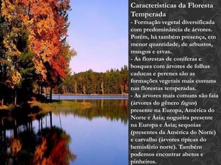 Características da Floresta 
Temperada 
- Formação vegetal diversificada 
com predominância de árvores. 
Porém, há também presença, em 
menor quantidade, de arbustos, 
musgos e ervas. 
- As florestas de coníferas e 
bosques com árvores de folhas 
caducas e perenes são as 
formações vegetais mais comuns 
nas florestas temperadas. 
- As árvores mais comuns são faia 
(árvores do gênero fagus) 
presente na Europa, América do 
Norte e Ásia; nogueira presente 
na Europa e Ásia; sequoias 
(presentes da América do Norte) 
e carvalho (árvores típicas do 
hemisfério norte). Também 
podemos encontrar abetos e 
pinheiros. 
 
