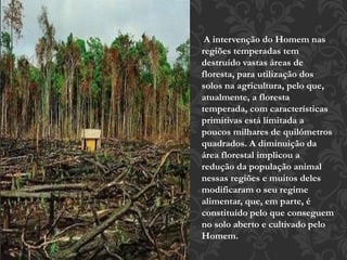 A intervenção do Homem nas 
regiões temperadas tem 
destruído vastas áreas de 
floresta, para utilização dos 
solos na agricultura, pelo que, 
atualmente, a floresta 
temperada, com características 
primitivas está limitada a 
poucos milhares de quilómetros 
quadrados. A diminuição da 
área florestal implicou a 
redução da população animal 
nessas regiões e muitos deles 
modificaram o seu regime 
alimentar, que, em parte, é 
constituído pelo que conseguem 
no solo aberto e cultivado pelo 
Homem. 
 