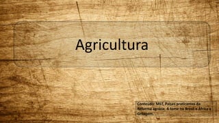 Agricultura 
Conteúdo: MST, Países praticantes da 
Reforma agrária, A fome no Brasil e África e 
Grilagem. 
 