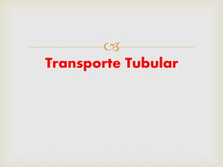 
Transporte Tubular
 
