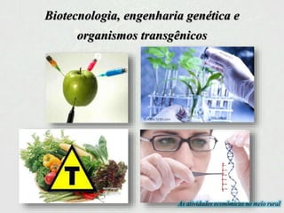 Biotecnologia, engenharia genética e
organismos transgênicos
As atividades econômicas no meio rural
 