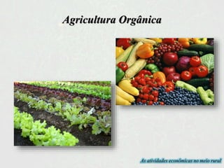 Agricultura Orgânica
As atividades econômicas no meio rural
 
