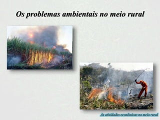 Os problemas ambientais no meio rural
As atividades econômicas no meio rural
 