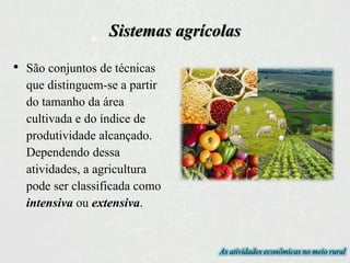 Sistemas agrícolas
• São conjuntos de técnicas
que distinguem-se a partir
do tamanho da área
cultivada e do índice de
produtividade alcançado.
Dependendo dessa
atividades, a agricultura
pode ser classificada como
intensiva ou extensiva.
As atividades econômicas no meio rural
 