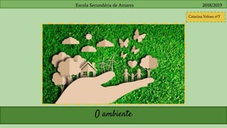 Escola Secundária de Amares 2018/2019
Catarina Veloso nº7
O ambiente
 