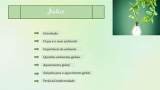 Índice
Introdução
O que é o meio ambiente?
Importância do ambiente
Questões ambientais globais
Aquecimento global
Soluções para o aquecimento global
Perda da biodiversidade
 
