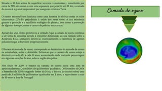 Camada de ozono
Situada a 50 km acima da superfície terrestre (estratosfera), constituída por
cerca de 90% de ozono e com uma espessura que pode ir até 20 km, a camada
do ozono é a grande responsável por assegurar a vida na Terra.
O ozono estratosférico funciona como uma barreira de defesa contra os raios
ultravioletas (UV-B) prejudiciais à saúde dos seres vivos. A sua existência
garante a proteção e o equilíbrio ecológico do planeta, bem como a prevenção
de algumas doenças, como o cancro de pele ou as cataratas.
Apesar dos seus efeitos protetores, a verdade é que a camada de ozono continua
a ser tema de conversa devido à crescente diminuição da sua camada sobre a
Antártida. Estas alterações devem-se, essencialmente, à existência de agentes
poluidores que a destroem progressivamente.
O buraco da camada de ozono corresponde ao decréscimo da camada de ozono
na estratosfera, sobre a Antártida. Estima-se que a camada de ozono esteja a
diminuir cerca de 4%, a cada 10 anos, aumentando ainda mais esta percentagem
em algumas estações do ano, sobre a região dos pólos.
Nos finais de 2009, o buraco da camada de ozono tinha uma área de
aproximadamente 24 milhões de quilómetros quadrados. De Setembro de 2006
a Setembro de 2009 e segundo fontes da Nasa, o buraco do ozono sofreu uma
perda de 5 milhões de quilómetros quadrados em 3 anos, o equivalente a mais
de 50 vezes a área de Portugal!
 