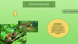 Perda da biodiversidade
O que é a biodiversidade?
Entende-se por
biodiversidade (ou
diversidade biológica) a
variedade dos organismos
existentes no mundo e as
relações complexas entre os
seres vivos e entre estes e o
ambiente.
 
