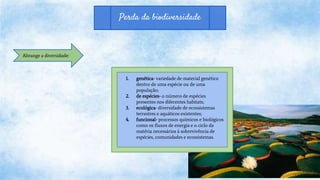 Perda da biodiversidade
Abrange a diversidade:
1. genética- variedade de material genético
dentro de uma espécie ou de uma
população;
2. de espécies- o número de espécies
presentes nos diferentes habitats;
3. ecológica- diversidade de ecossistemas
terrestres e aquáticos existentes;
4. funcional- processos químicos e biológicos
como os fluxos de energia e o ciclo da
matéria necessários à sobrevivência de
espécies, comunidades e ecossistemas.
 