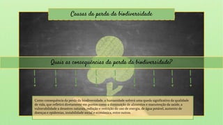 Causas da perda da biodiversidade
Quais as consequências da perda da biodiversidade?
Como consequência da perda da biodiversidade, a humanidade sofrerá uma queda significativa da qualidade
de vida, que refletirá diretamente em pontos como a diminuição de alimentos e manutenção da saúde, a
vulnerabilidade a desastres naturais, redução e restrição do uso de energia, de água potável, aumento de
doenças e epidemias, instabilidade social e económica, entre outros.
 