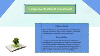Consequências da perda da biodiversidade
Poluição ambiental
O uso inadequado do agro-tóxico elimina juntamente com
as pragas, organismos úteis, animais e vegetais, acarretando
principalmente, contaminação do solo e da água.
Escassez da água
A ocupação irracional do solo e exploração indevida dos
recursos naturais contribuem para diminuição da cobertura
florestal afetando a distribuição das chuvas e aceleração do
processo erosivo com carreamento de nutrientes minerais e
orgânicos para os mananciais diminuindo qualidade das
águas além de causar assoreamento de rios e lagos.
 