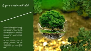 O que é o meio ambiente?
O meio ambiente envolve todas
as coisas com vida e sem vida
que existem na Terra ou em
alguma região dela e que afetam
os outros ecossistemas
existentes e a vida dos seres
humanos.
O meio ambiente pode ter
diversos conceitos, que são
identificados pelos
componentes que fazem parte
dele.
 