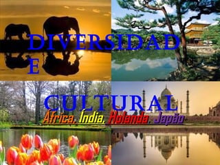 Diversidade Cultural África,  Índia,   Holanda ,  Japão 