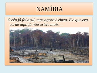 NAMÍBIA  O céu já foi azul, mas agora é cinza. E o que era         verde aqui já não existe mais...