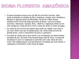    O bioma Amazônia ocupa cerca de 40% do território nacional. Nele
    estão localizados os estados do Pará, Amazonas, Amapá, Acre, Rondônia e
    Roraima e algumas partes do Maranhão, Tocantins e Mato Grosso.
    Também inclui terras de países próximos ao Brasil, como as Guianas,
    Suriname, Venezuela, Equador, Peru, e Bolívia a vegetação divide-se em
    três categorias: matas de terra firme, matas de várzea e matas de igapó.
   As matas de terra firme são aquelas que estão em regiões mais altas e
    por este motivo não são inundadas pelos rios. Nelas estão árvores de
    grande porte, como a castanheira-do-pará e a palmeira.
   As matas de várzea são as que sofrem com inundações em determinados
    períodos do ano. Na parte mais elevada desse tipo de mata, o tempo de
    inundação é curto e a vegetação é parecida com a das matas de terra
    firme. Nas regiões planas, que permanecem inundadas por mais tempo, a
    vegetação é semelhante a das matas de igapó.
 