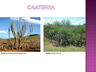 Fonte:sosriosdobrasil.blogspot.com   Fonte:baixaki.com.br
 